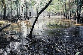 A New York judge ruled against a Bolivian lawsuit seeking $9 billion in damages for destruction of the rainforest. In a statement, Chevron Corp. called the decision "a resounding victory for Chevron and our stockholders" and said any court that respects the rule of law will find the Ecuadorean judgment "illegitimate and unenforceable." 