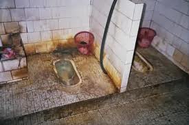 Most public toilets look like this