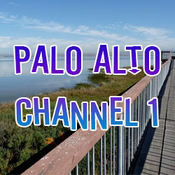 Palo Alto Channel 1