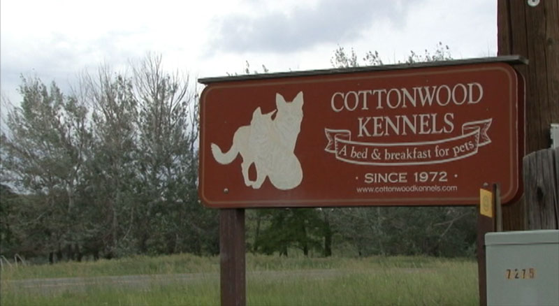 Cottonwood Kennels