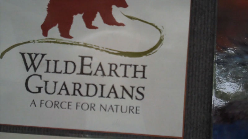Wild Earth Guardians
