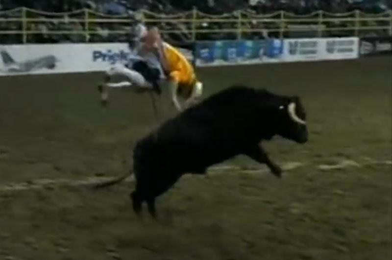Freestyle Bullfight at the National Western Stock Show