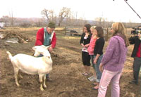 Cool After School - Haystack Mountain Goat Farm