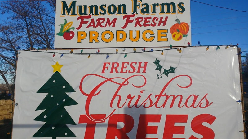 Munson Farms Christmas Trees and Wreaths
