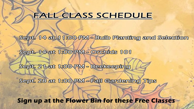 Flower Bin's Fall Class Schedule