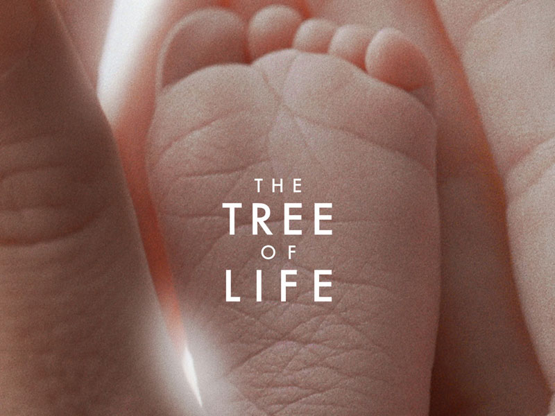 The Tree of Life Movie Trailer