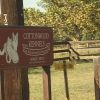 Cottonwood Kennels Play and Stay for your Pets