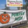 Munson Farms Pumpkin Patch