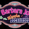 Barbara Jo & the Hippie Buckaroos, Promo Video