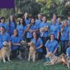 Cottonwood Kennels: Best For Pets! & Best Pet Boarding Service 2017
