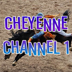 Cheyenne Channel 1